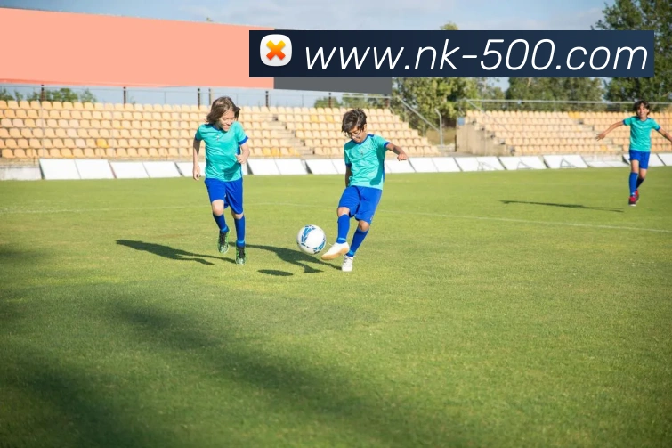 500彩票网官方发展历程